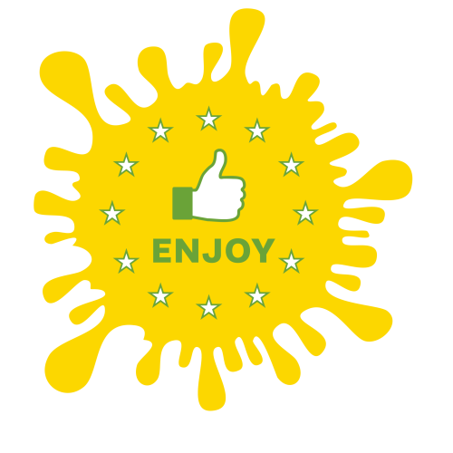 info graphic enjoy web 04